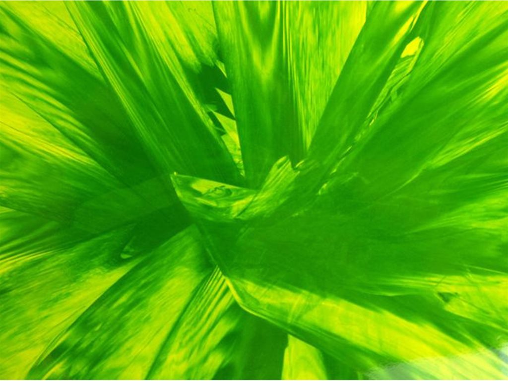 AC3 Green Abstract Film